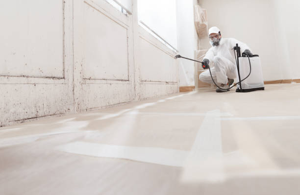 24/7 Emergency Black Mold Remediation experts in Milton, MA